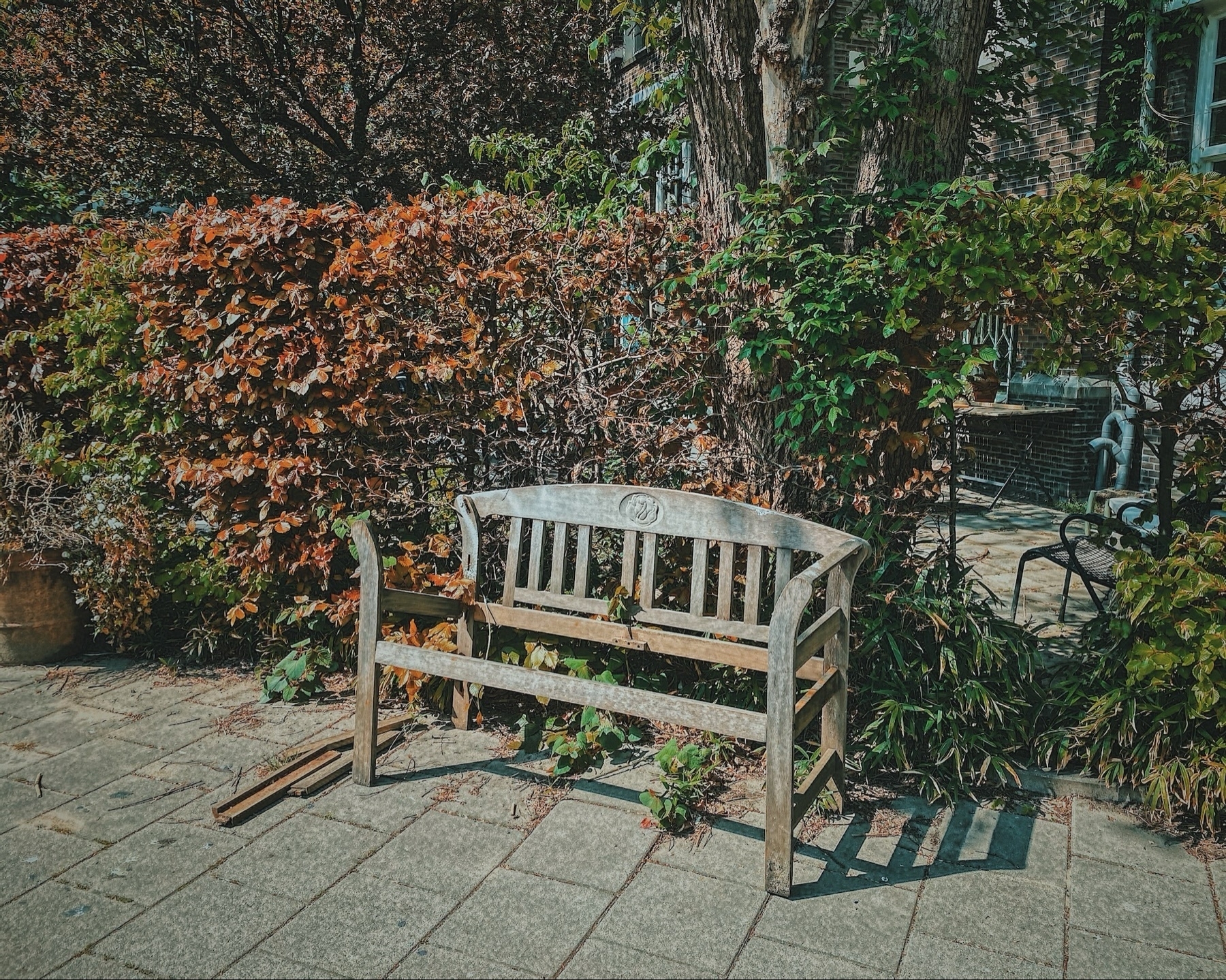Garbage Chairs of Amsterdam