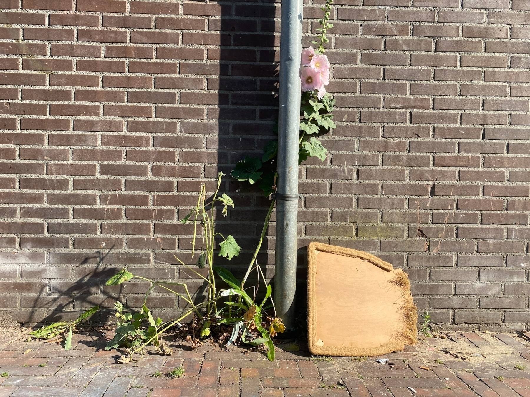 Garbage Chairs of Amsterdam