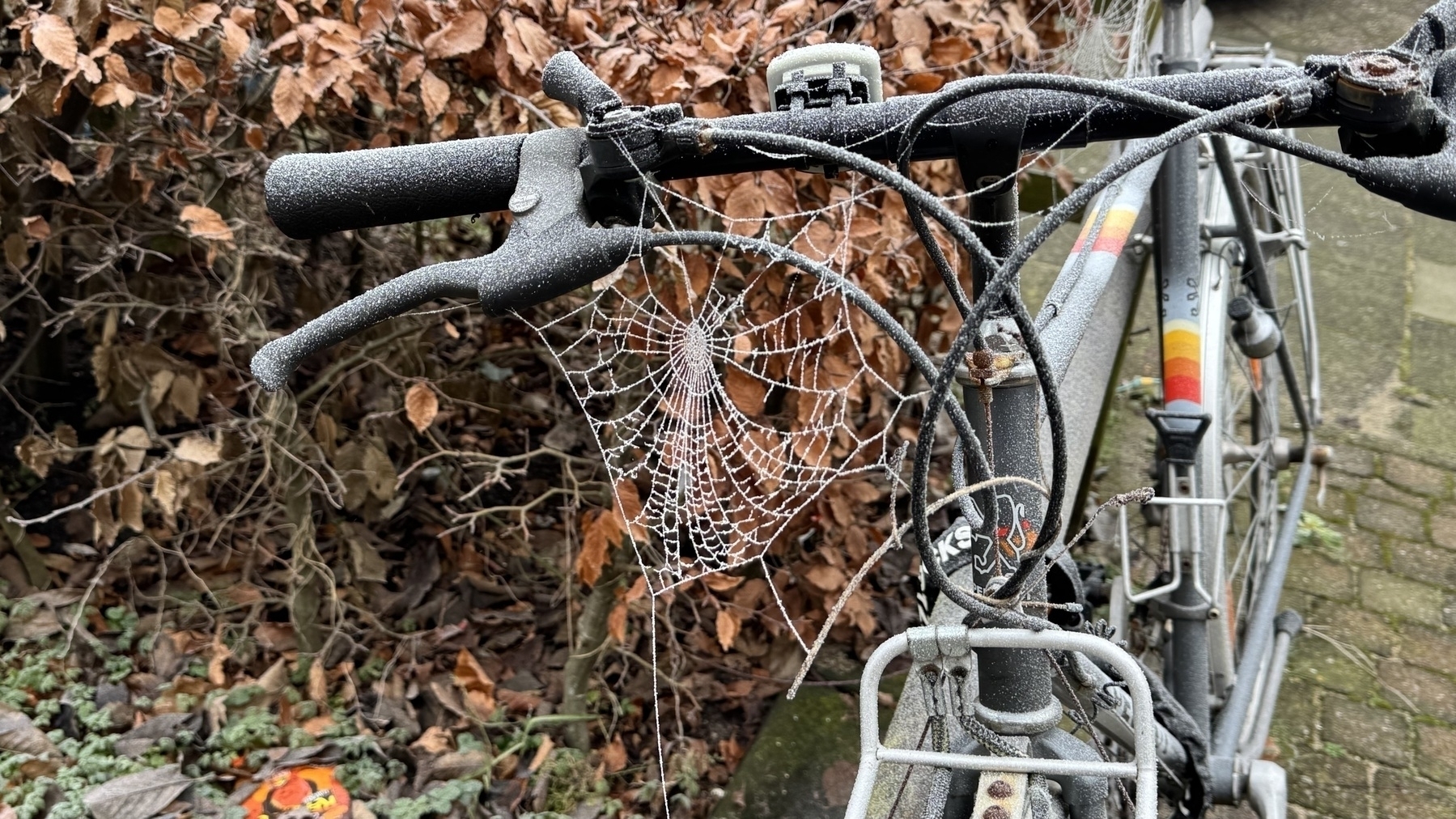 A gray bicycle with a frozen handlebar and a spiderweb is resting on a bed of fallen leaves.