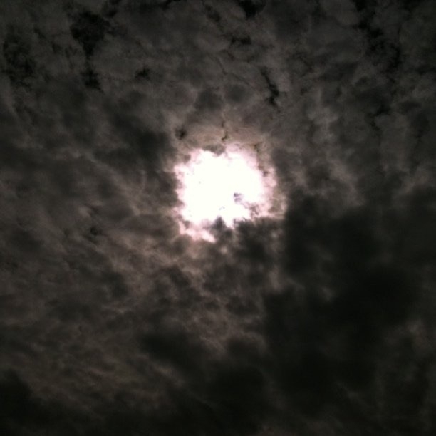 Untitled post 57954