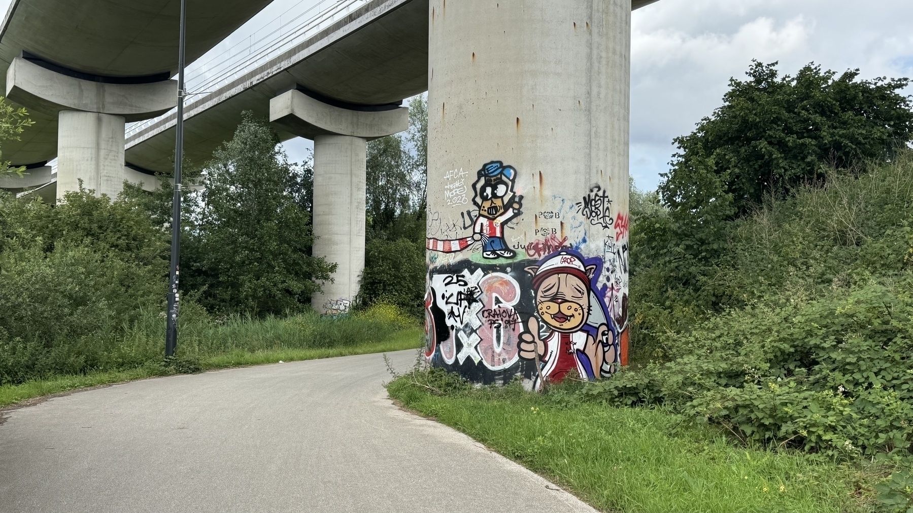 A concrete pillar is covered in graffiti, including cartoon characters and text, next to a road and vegetation.