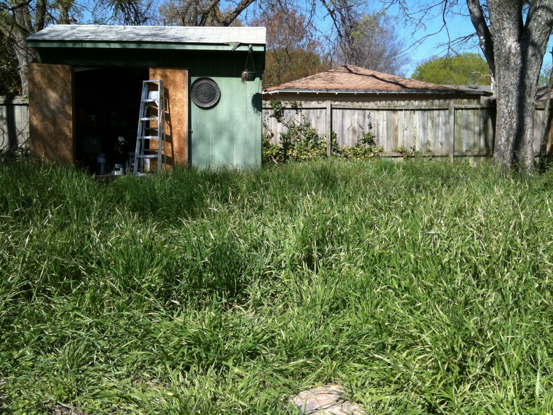 Taming the backyard jungle