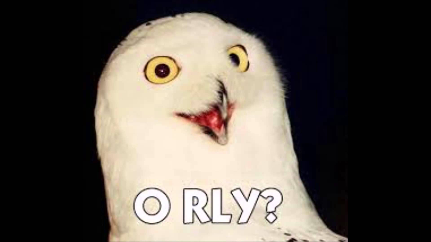 Motivating IT people to change, talking to developers