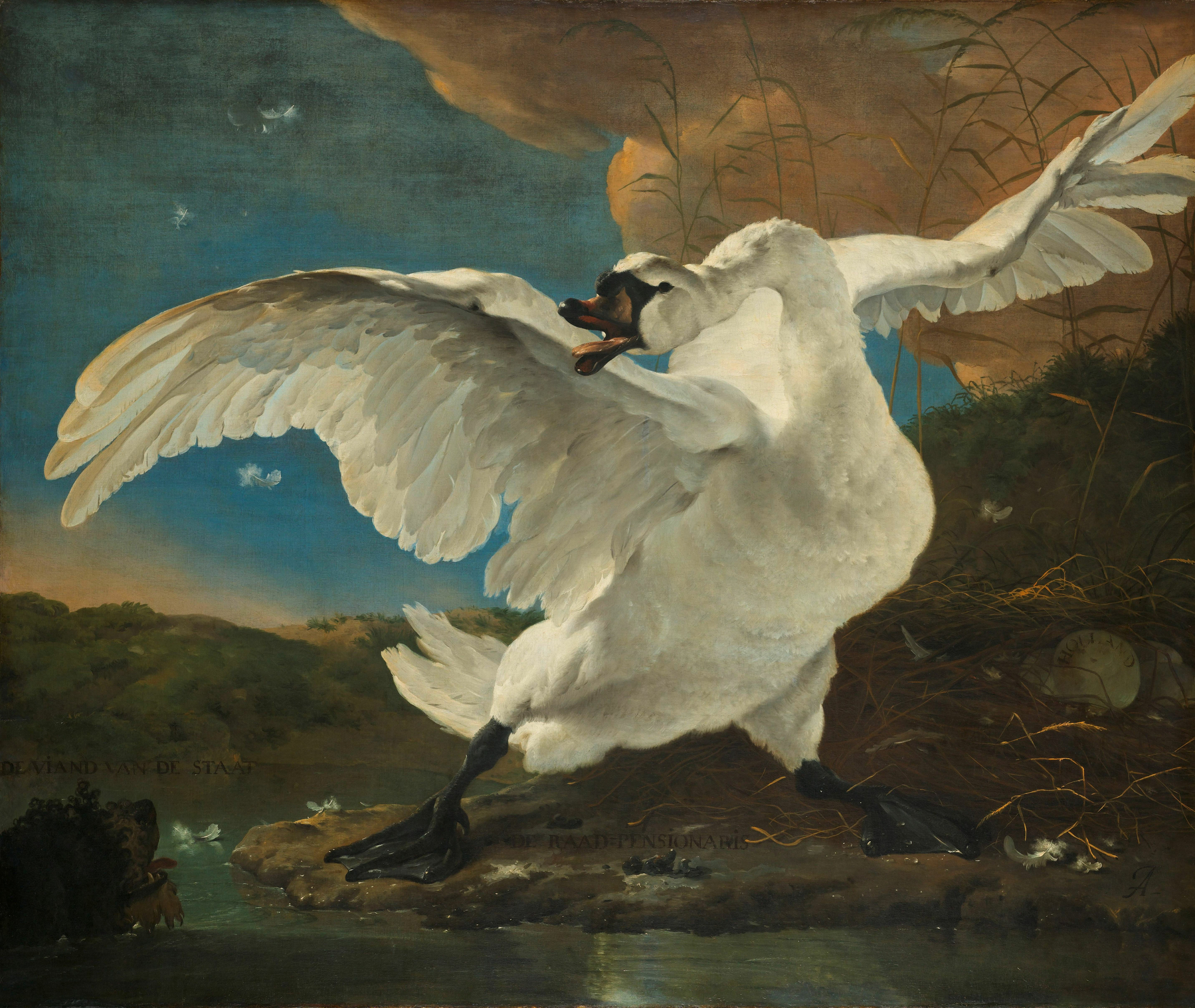 A white swan with outstretched wings stands on a pond, with text reading "DE RAADTE VAN DE STAA" visible.