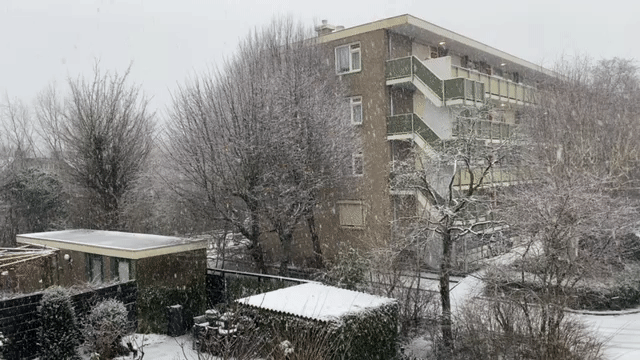Snow-dusted apartment building sits behind a snowy garden with bare trees